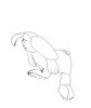 Drawing: Bunny 3