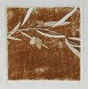 Olive 2