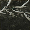 Olive 2